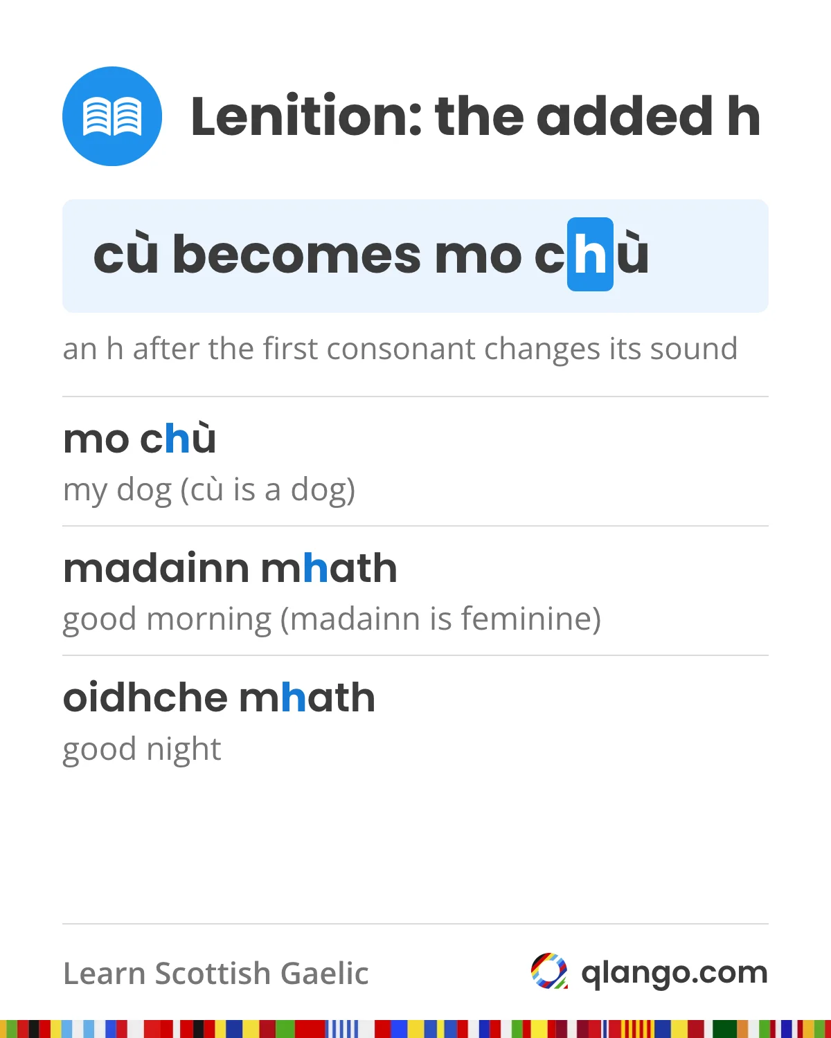 Scottish Gaelic lenition adds an h after the first consonant and changes its sound: cù is a dog but mo chù is my dog, madainn mhath is good morning because madainn is feminine, and oidhche mhath is good night